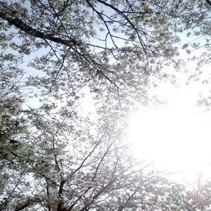 大学生自慰喷水免费观看
